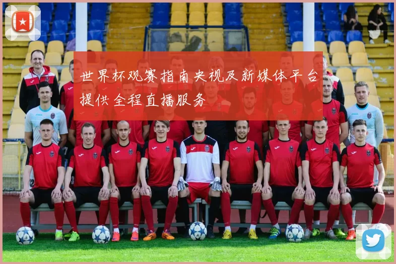 世界杯观赛指南央视及新媒体平台提供全程直播服务