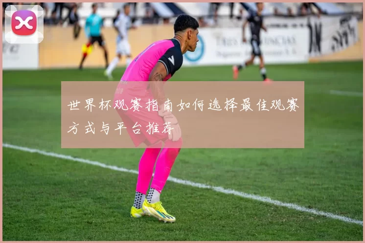世界杯观赛指南如何选择最佳观赛方式与平台推荐