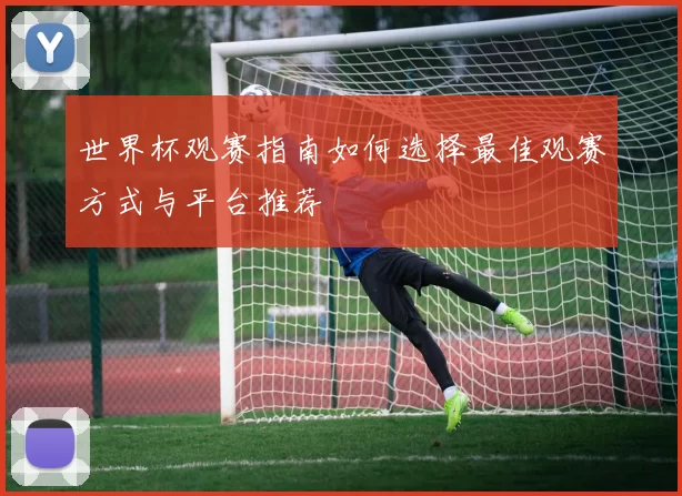 世界杯观赛指南如何选择最佳观赛方式与平台推荐