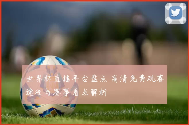 世界杯直播平台盘点 高清免费观赛途径与赛事看点解析