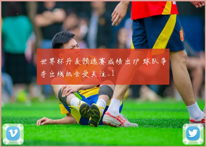 世界杯丹麦预选赛成绩出炉 球队争夺出线机会受关注_1